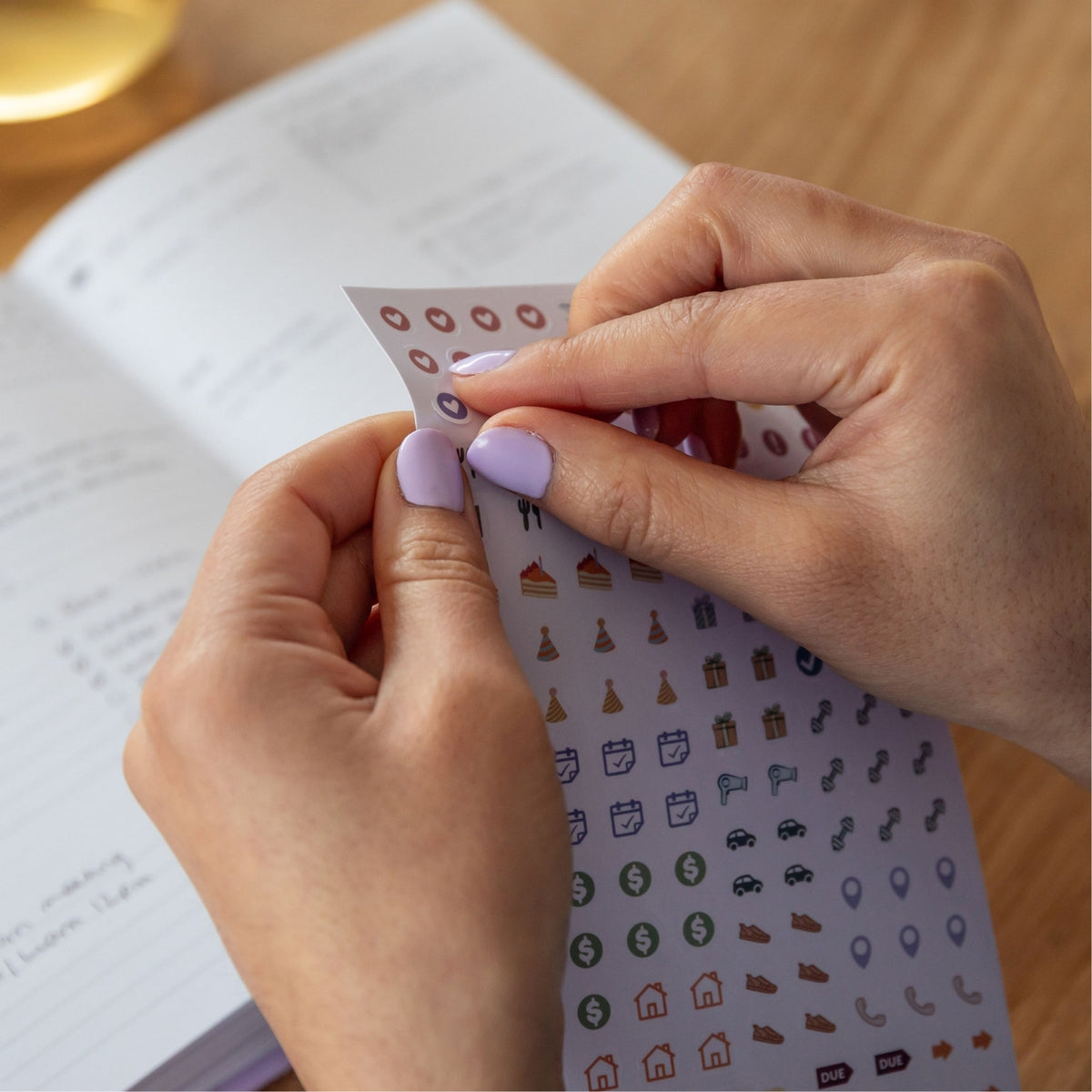 Curation Sticker Set (910 Stickers) Pre-order