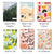 Curation 2026 Original Ready Steady Go Planner Bundle