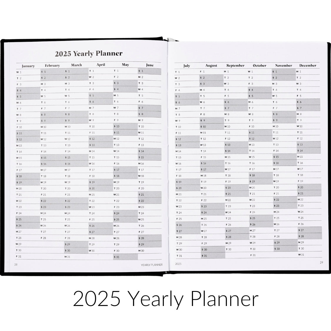 Curation 2025 Planner (Daily) - Saint Belford 